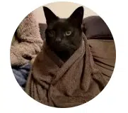Mimi