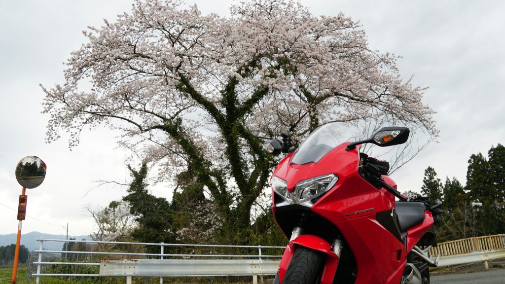 motorrad mieten japan - motorrad fahren japan